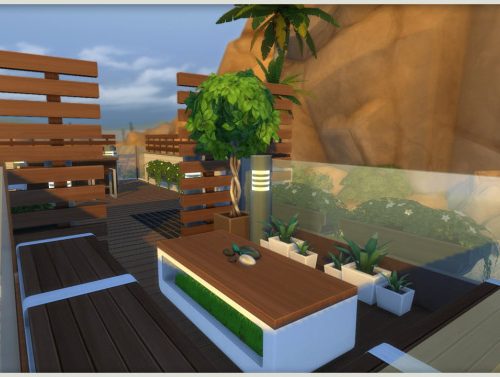 Agave Small Home