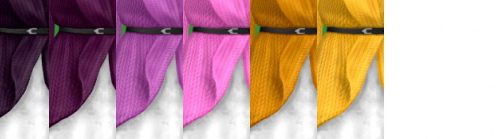Dress with sweater recolors