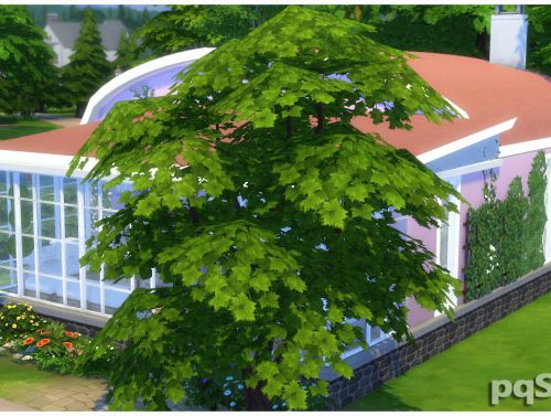 Monik Beauty Home