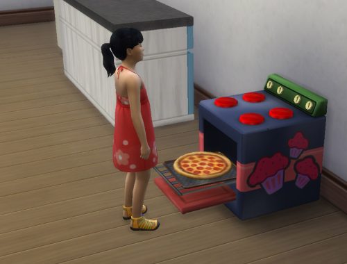 Rip Co. Little Baker Oven. Functional stove conversion