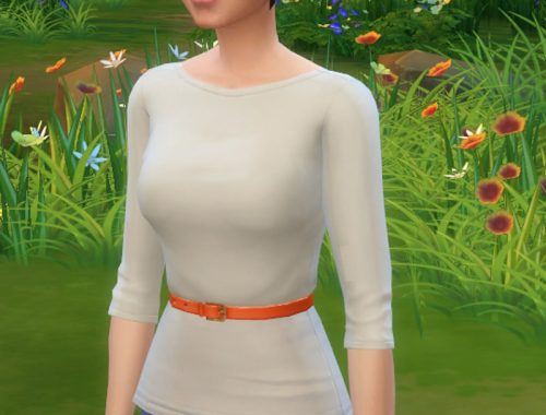 Top no Skirt