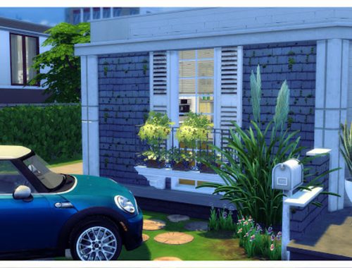 Female Version House