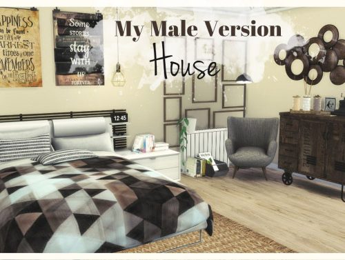 Male House Version