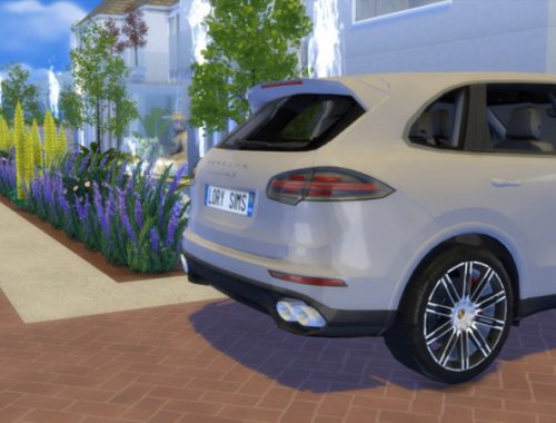 Porsche Cayenne S