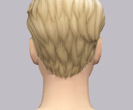 SP09 Hair Wavy Edit F