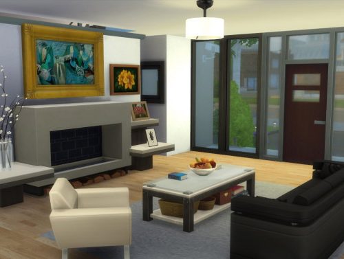 Contemporary Modern House