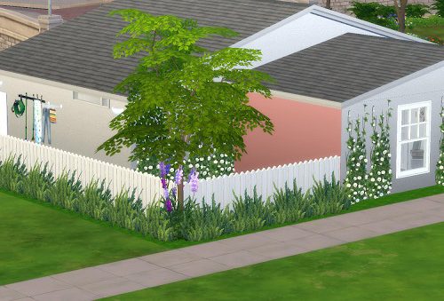 Sweet Cute Home