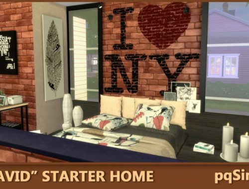David Starter Home