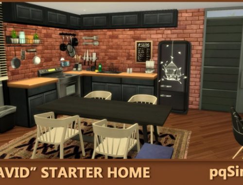 David Starter Home