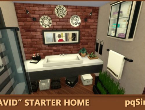 David Starter Home