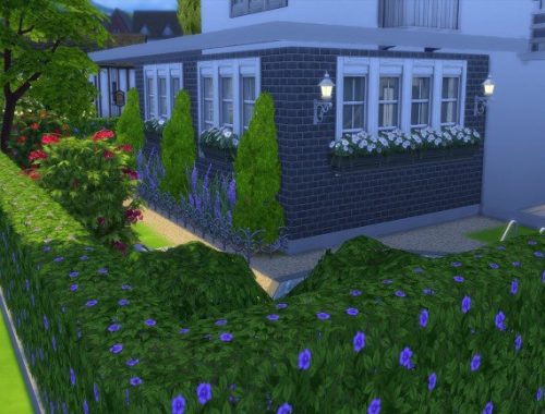 Windenburg 1 house