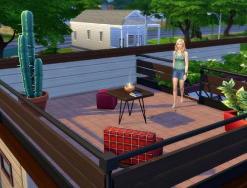 New starter house