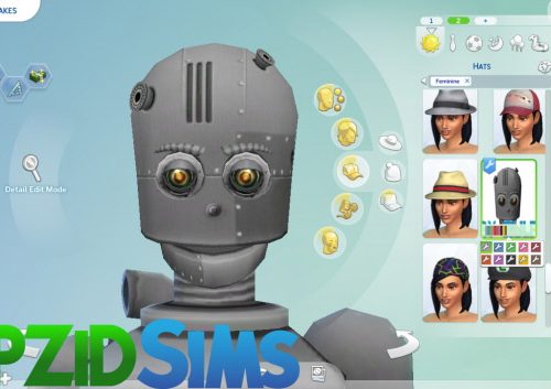 Simbot Costume Conversion