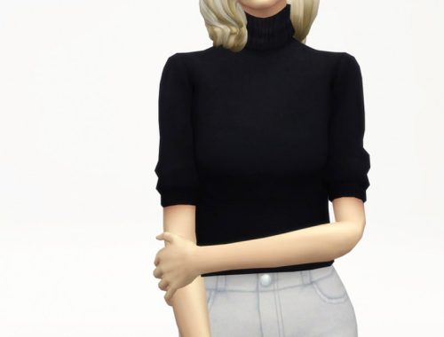 Half-sleeves turtle neck sweater