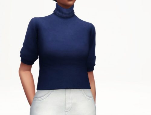 Half-sleeves turtle neck sweater