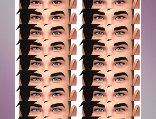 Eye Collection