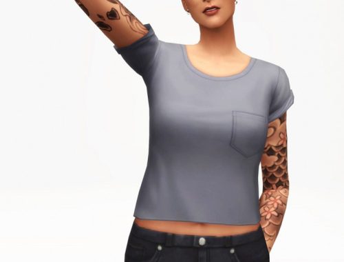 Basic T-shirt F V2 (20 colors)