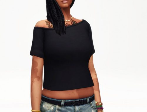 Basic T-shirt F V3 (20 colors)