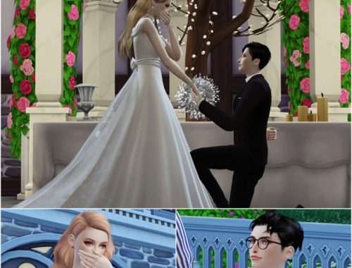 Wedding Project Re-edit Poses Sets