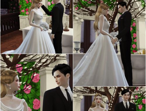Wedding Project Re-edit Poses Sets