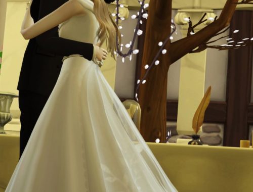 Wedding Project Re-edit Poses Sets