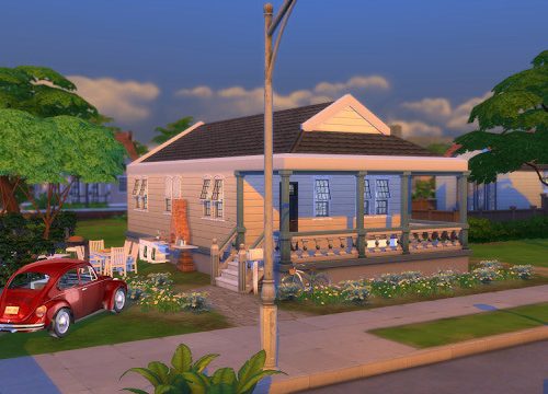 Fixer Upper Daisy Hovel House
