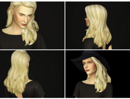 SP03 Long flipped hair edit (with gray)