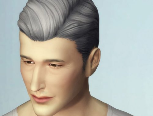 GP05 Slick Hair Edit (with gray)