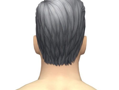 GP05 Slick Hair Edit (with gray)