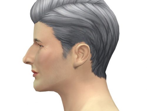 GP05 Slick Hair Edit (with gray)