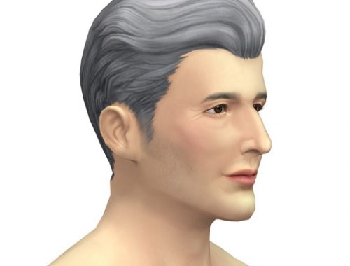 GP05 Slick Hair Edit (with gray)