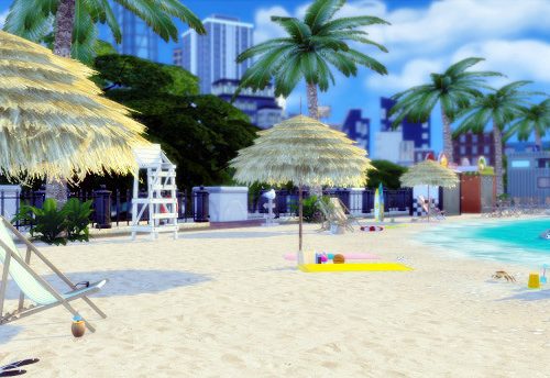 Tropical Beach