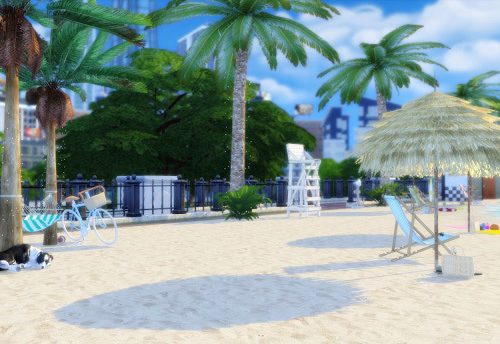 Tropical Beach