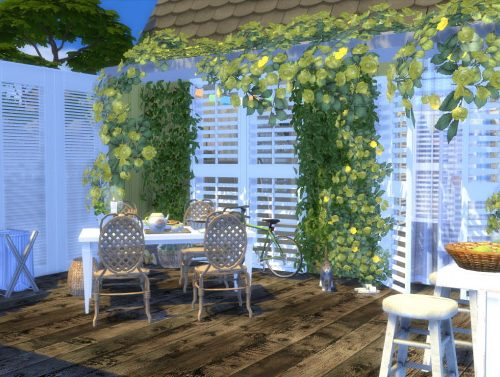 THE BEACH BUNGALOW