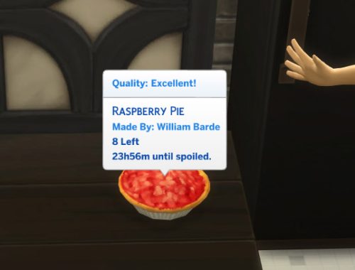Custom Berry Pies : Raspberry and Blueberry