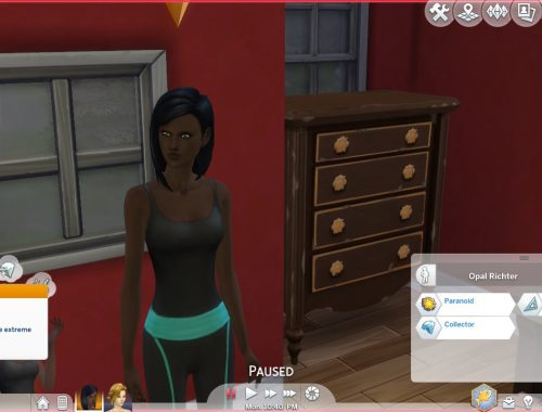 The Paranoid Trait