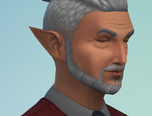 Pointy Ears Unlocked - All Ages
