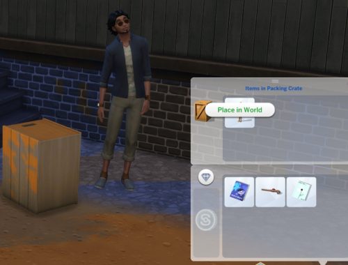 Packing Crates for TS4 | 1.13 update available