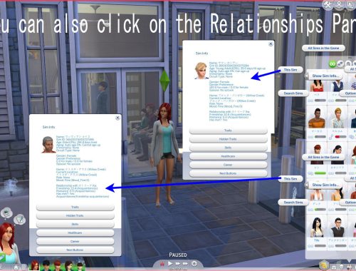 Show/Search Sim Info Mod