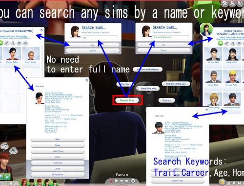 Show/Search Sim Info Mod