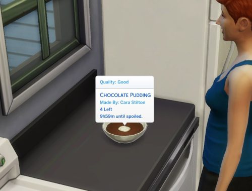 Chocolate Pudding