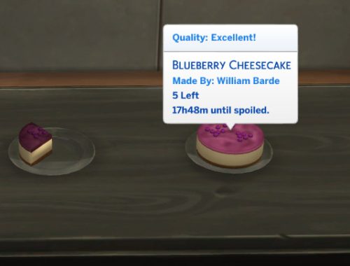 Blueberry Delights -  Cheesecake and Muffin