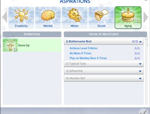 Grow Up Aspiration (TS2-TS4)