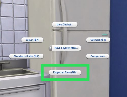 Microwave Pizza