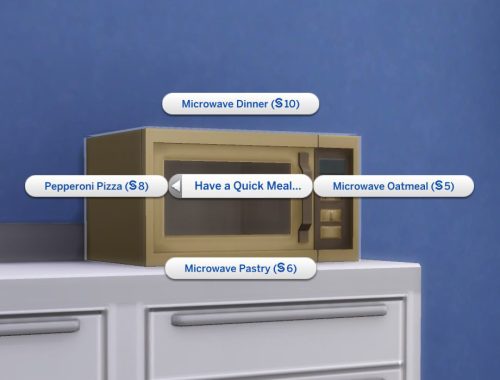 Microwave Pizza