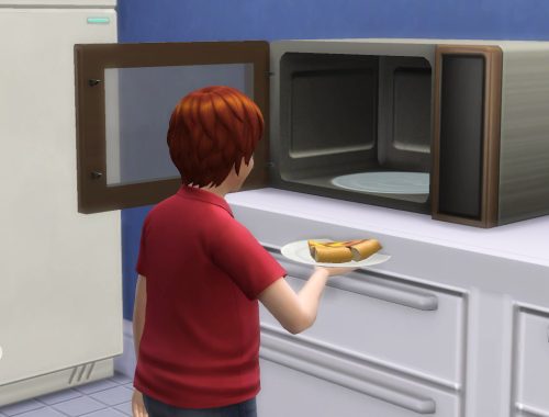 Microwave Pizza