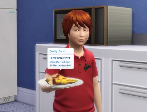 Microwave Pizza