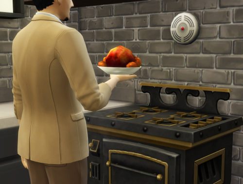 Tandoori Chicken - Custom Indian food  [Update (21.06.2017)]
