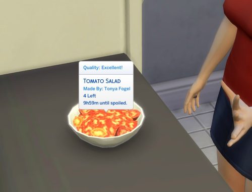 Tomato Salad