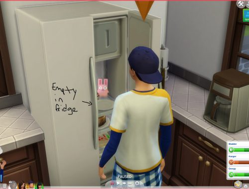 Punie-More Fridge Quick Meals!!